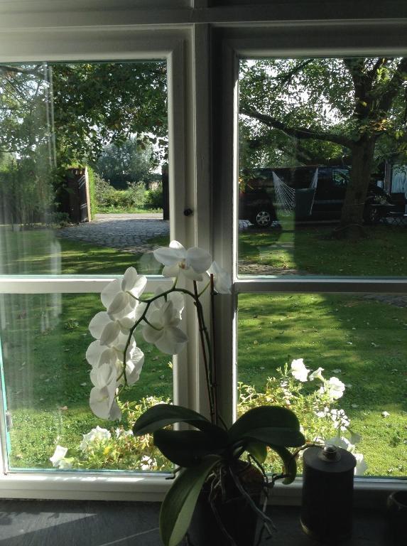 Bed and Breakfast Ma Campagne Heusden Zewnętrze zdjęcie